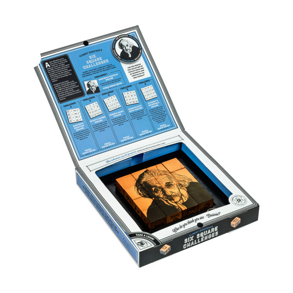 Professor Puzzle USA, Inc. 1 Player Brainteaser Wayfair